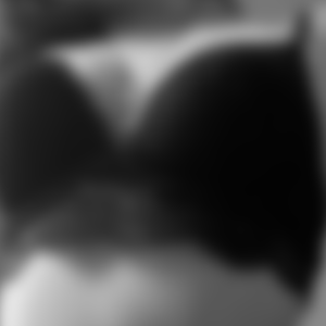 rencontre-Cougar-Dijon