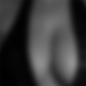 rencontre-Cougar-Nîmes