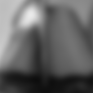 rencontre-Cougar-Troyes